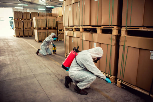 Best Ant Control Services  in Gettysburg, SD