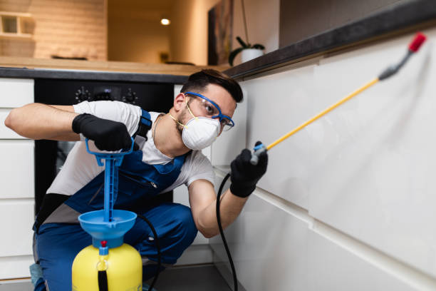 Wasp Removal Services in Gettysburg, SD