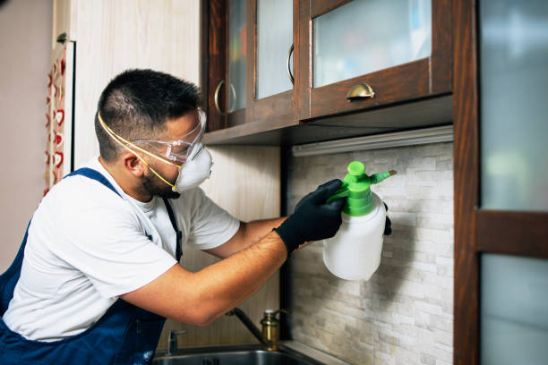 Reliable Gettysburg, SD Pest Control Solutions