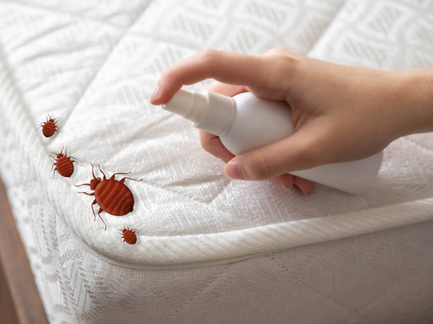 Best Affordable Pest Control Services  in Gettysburg, SD