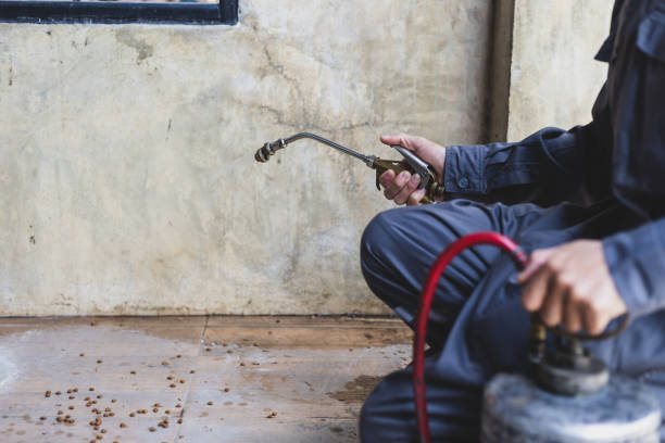 Best Exterminator Services  in Gettysburg, SD