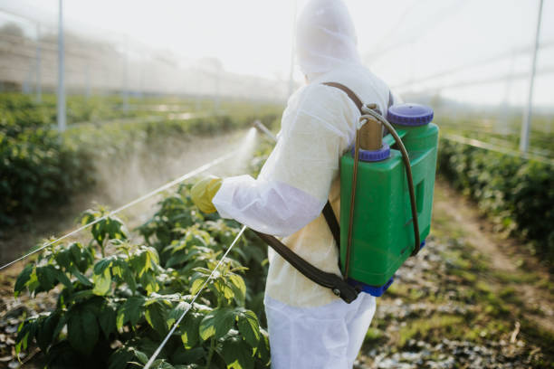 Pest Prevention Services in Gettysburg, SD